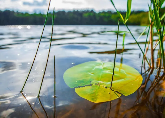 Apartamento Rheinsberg Kagar